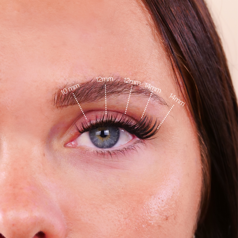QUEEN – KÜNSTLICHE WIMPERN ZUM AUFKLEBEN (NEU)