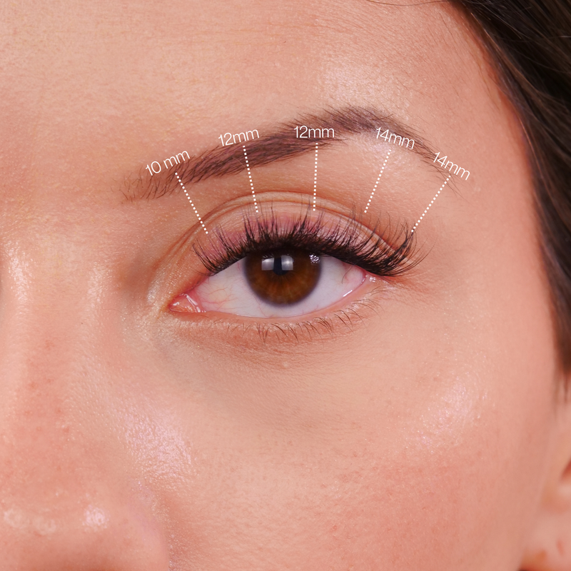 MAYA – AUFKLEBBAR – WIMPERN (NEU)