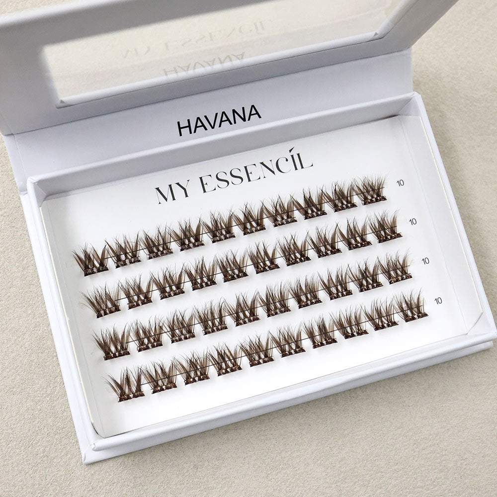 Coffret HAVANA ouvert, 4 rangées de clusters marron naturels