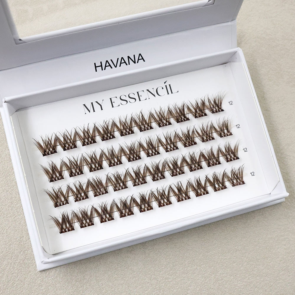 Clusters HAVANA marron brun vus de face dans leur boîte