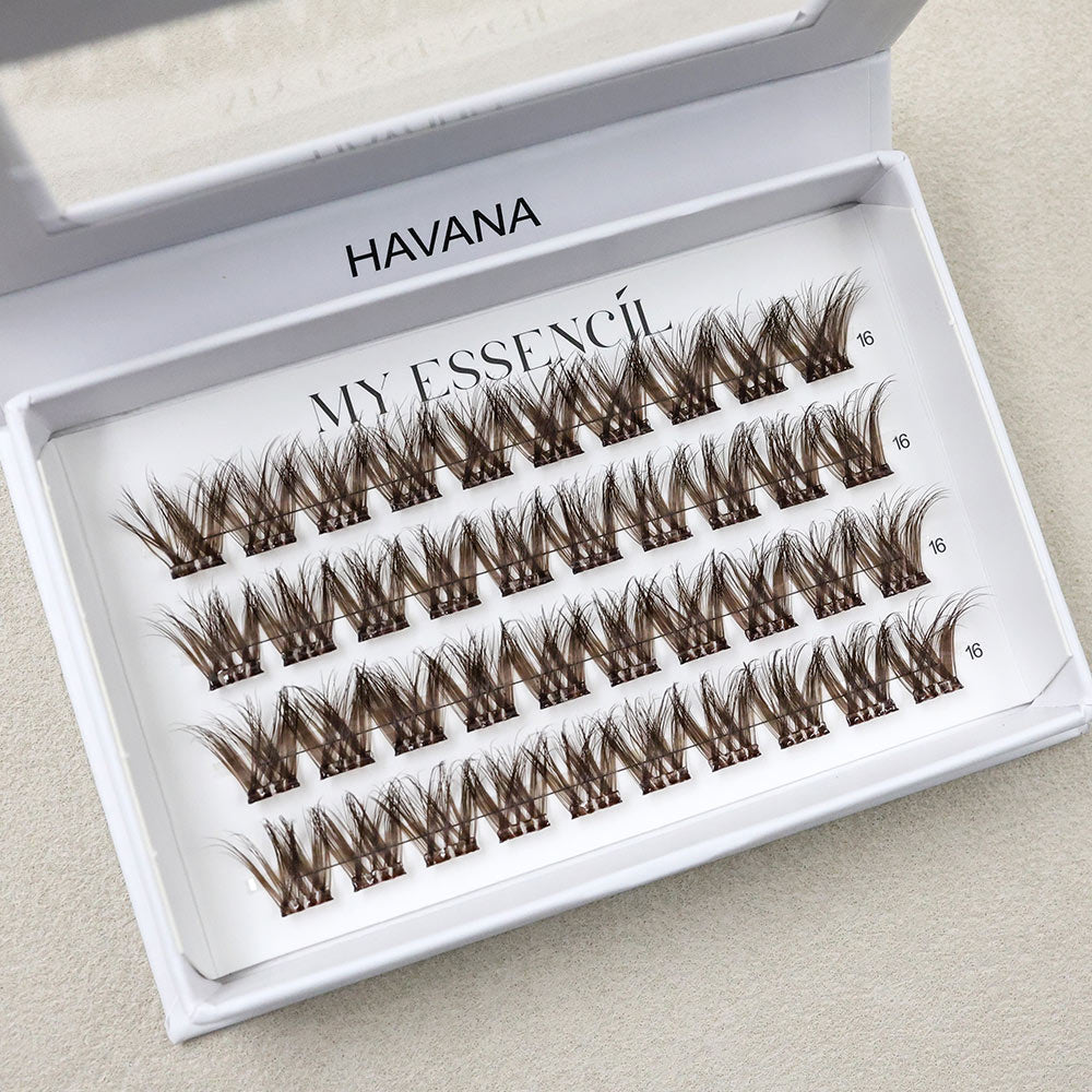 Boîte HAVANA ouverte en biais, clusters bruns effilés