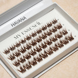 Coffret HAVANA ouvert, faux cils press-on marron brun